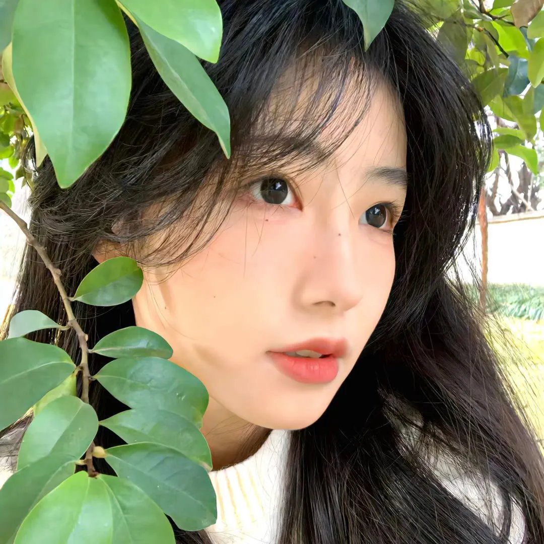 心灵翻译官